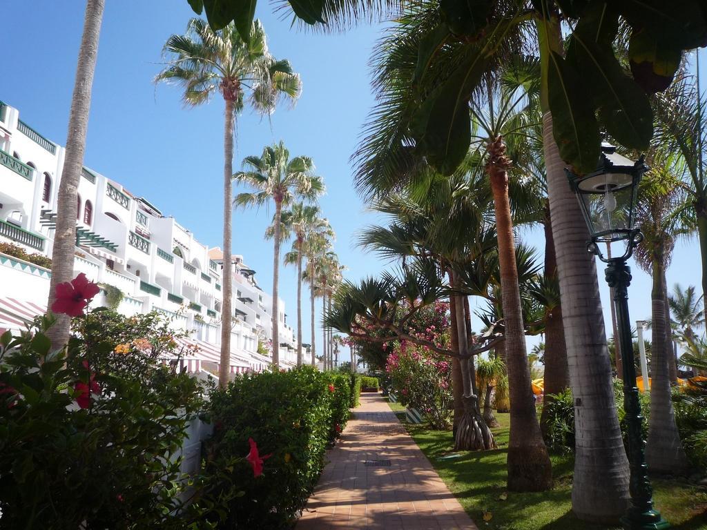 4 Santiago Playa Tenerife Estudio Playa de las Americas  Ruang foto